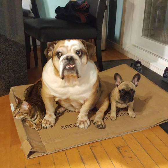 Meet your Posher, Guylaine - Picture 1 of 1